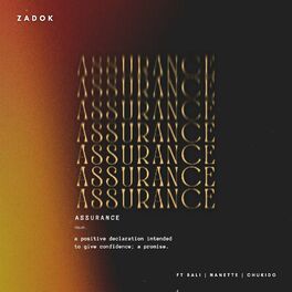 Album cover of Assurance
