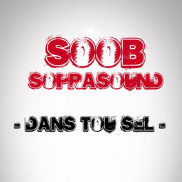 Album cover of Dans tou sel