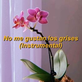 Album cover of No me gustan los grises (Instrumental)