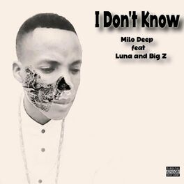 Album cover of I don't know (feat. Big z & Luna)