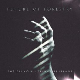 Album cover of The Piano & Strings Sessions