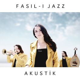 Album cover of Akustik