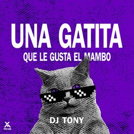Album cover of Una Gatita Que Le Gusta El Mambo