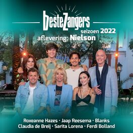 Album cover of Beste Zangers 2022 (Aflevering 4- Nielson)