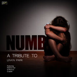 Album cover of Numb - A Tribute to Linkin Park