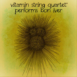 Album cover of Vitamin String Quartet Performs Bon Iver