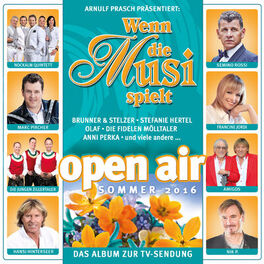 Album cover of Wenn die Musi spielt - Sommer Open Air 2016