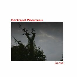 Album cover of Dérive