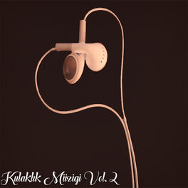 Album cover of Kulaklık Müzigi, Vol. 2