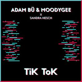 Album cover of TiK ToK