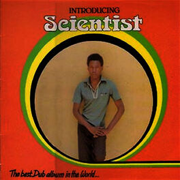 Album cover of The Best Dub Album In The World