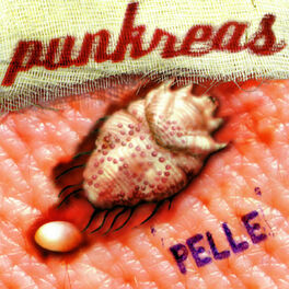 Album cover of Pelle