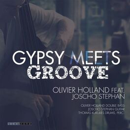Album cover of Gypsy Meets Groove
