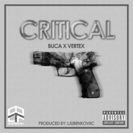 Album cover of CRITICAL (feat. Buca & Vertex)