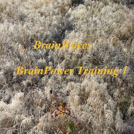 Album cover of BRAINWAVES BRAINPOWER TRAINING 1