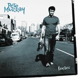 Album cover of Feeler