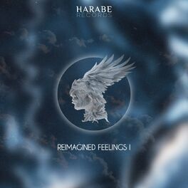 Album cover of Harabe Reimagined Feelings I