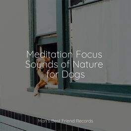 Album cover of Meditation Focus Sounds of Nature for Dogs