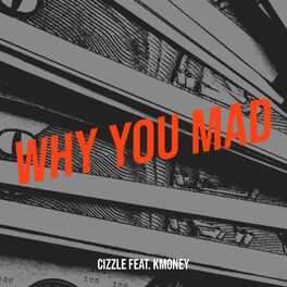 Album cover of Why You Mad