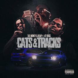 Album cover of CATS & TRACKS (feat. 42 Dugg)