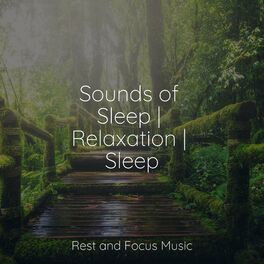 Album cover of Sounds of Sleep | Relaxation | Sleep
