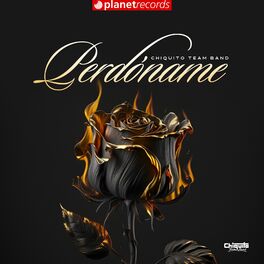 Album cover of Perdóname
