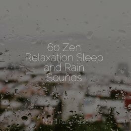 Album cover of 60 Zen Relaxation Sleep and Rain Sounds