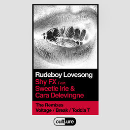 Album cover of Rudeboy Lovesong (feat. Sweetie Irie and Cara Delevingne) (Remixes)