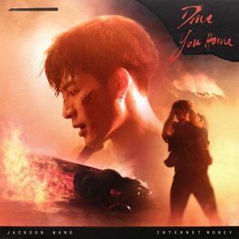 Album cover of Drive You Home