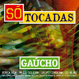 Album cover of Só Tocadas: Gaúcho