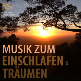 Album cover of Musik zum Einschlafen und Träumen