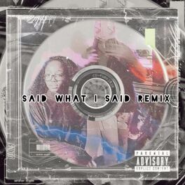 Album cover of Said What I Said (Remix)
