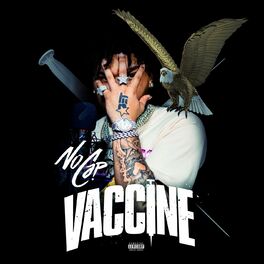 Album cover of Vaccine
