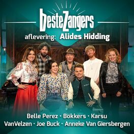 Album cover of Beste Zangers Seizoen 2021 (Aflevering 4 - Alides Hidding)