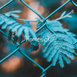 Album cover of Homesick