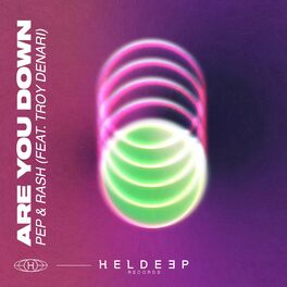 Album cover of Are You Down (feat. Troy Denari)