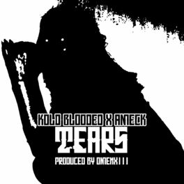Album cover of TEARS (feat. OmenXIII)