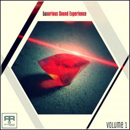 Album cover of Luxurious Sound Experience, Vol. 1