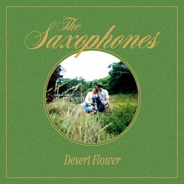 Album cover of Desert Flower