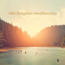 Album cover of Alfa Dalgaları Meditasyonu: Flüt ve Doğa Sesleri ile Rahatlatıcı Müzik Terapisi