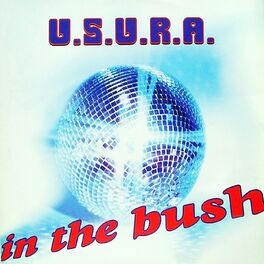 Album cover of In the Bush