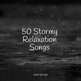 Album cover of 50 Stormy Relaxation Songs