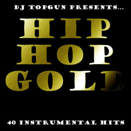 Album cover of Dj Top Gun Presents Hip Hop Gold: 40 Instrumental Hits