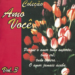 Album cover of Amo Você Vol. 3