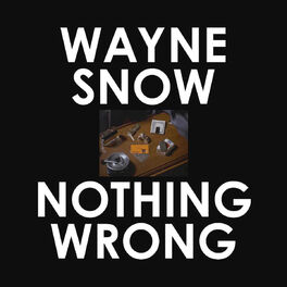 Album cover of Nothing Wrong Remixes