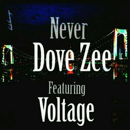 Album cover of Never (feat. Voltage)