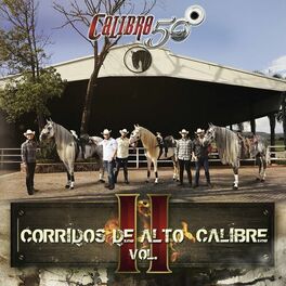Album cover of Corridos De Alto Calibre (Vol. II)