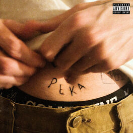 Album picture of P.E.K.A