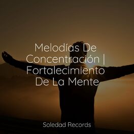 Album cover of Melodías De Concentración | Fortalecimiento De La Mente