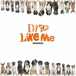 Album cover of Drip Like ME